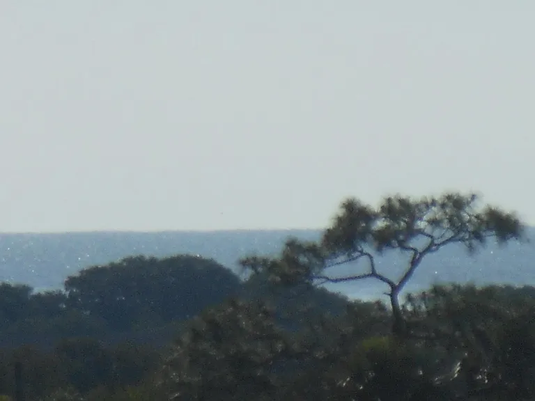 GULF VIEW