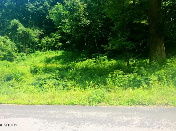 LOT 1 Carrs Creek Rd, Townsend, TN 37882