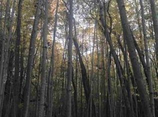 11 Riverchase Rd, Midland, MI 48640