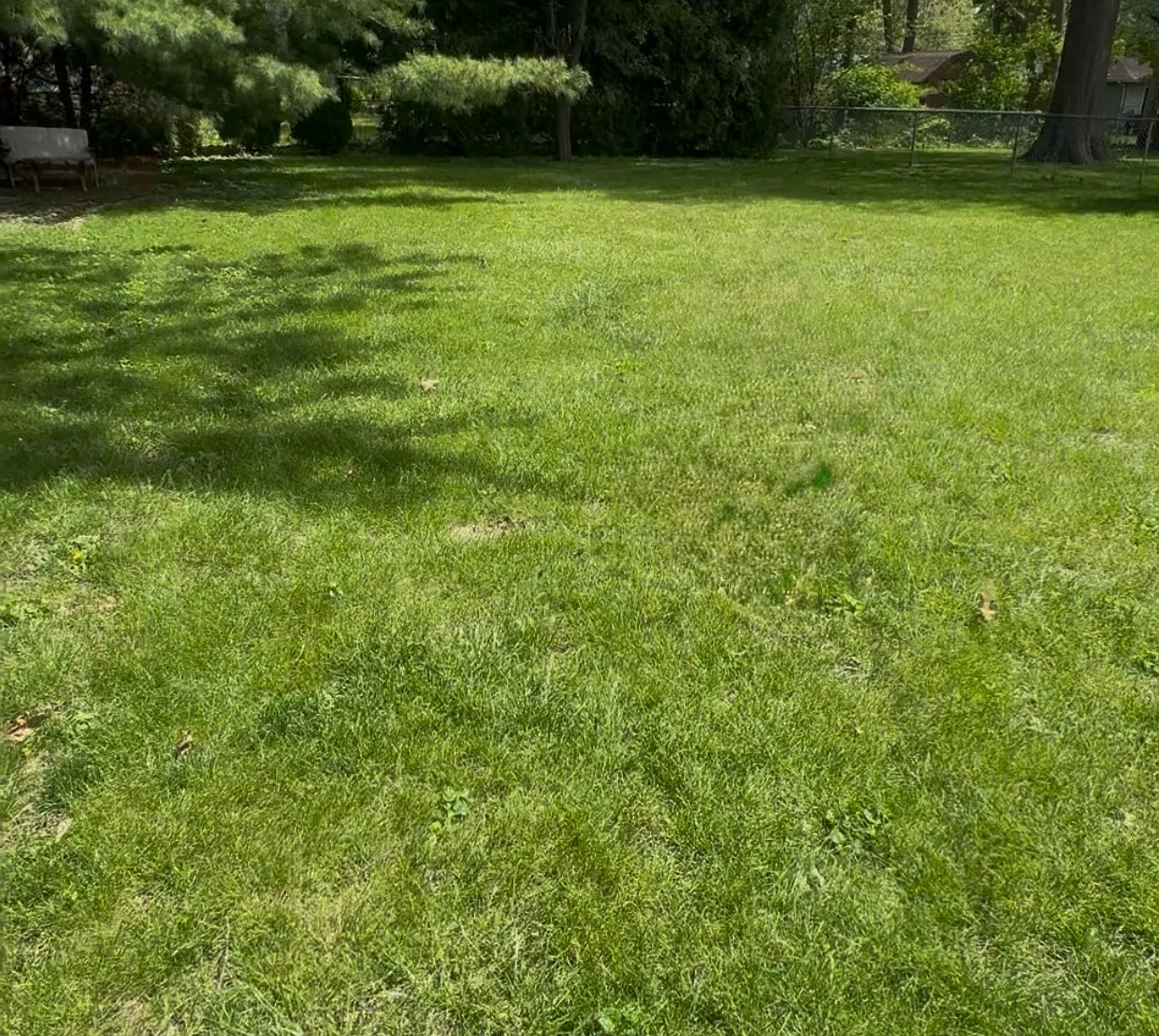 2 bed, 1003 sqft, $1,400 — Photo 2