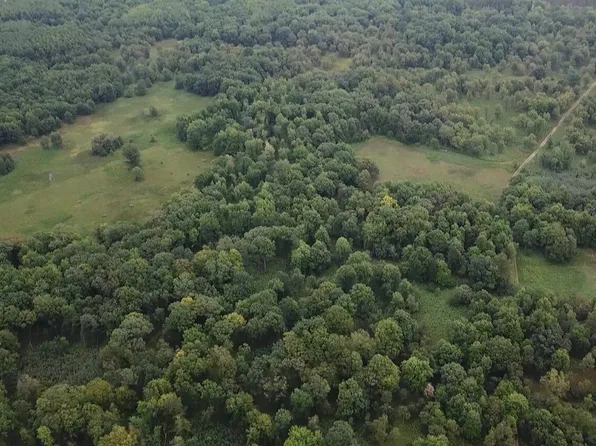 7003 Hickory Dr, Big Rapids, MI 49307