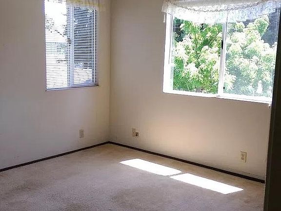 5th image of 1539 Thornbriar Dr