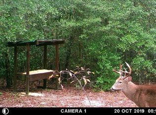 2495 Gillis Springs Rd, Soperton, GA 30457