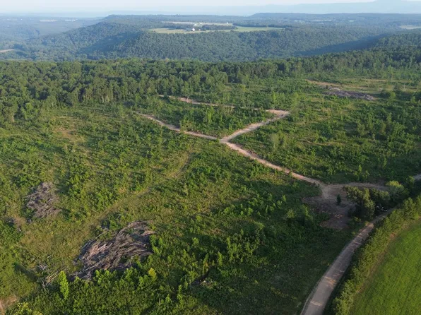 Ross Mountain Rd, Lamar, AR 72846