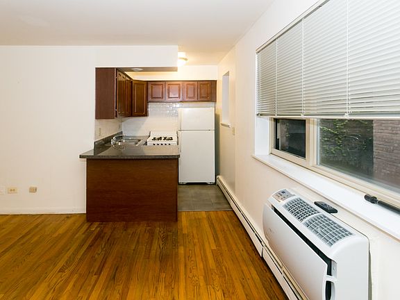 4th image of 521 W Briar Pl #903