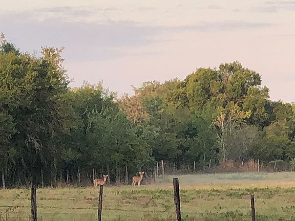 21 contiguous acres for sale