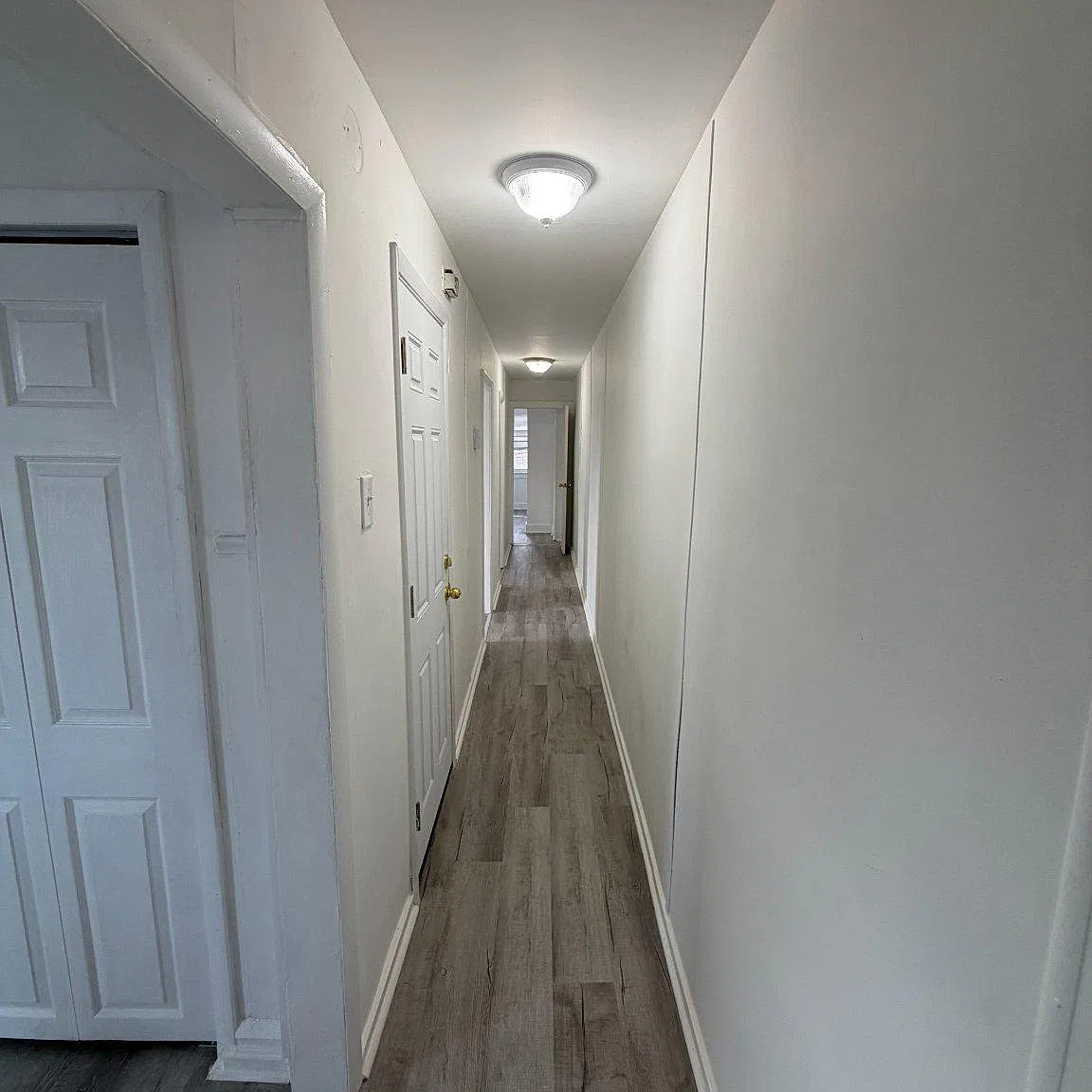 2 bed, 1.0 bath, 800 sqft, $1,500 — Photo 3
