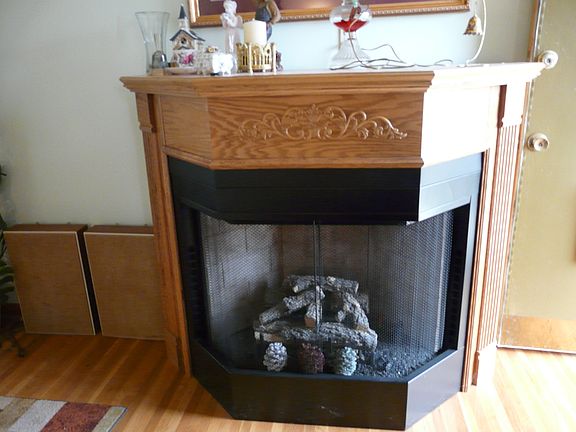 Fireplace in Living Rm