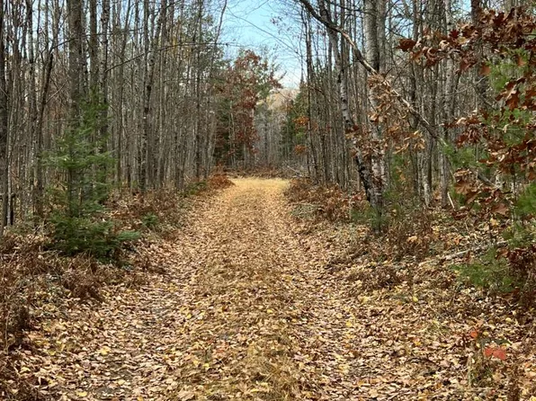 Hubert Rd, Hillman, MI 49746