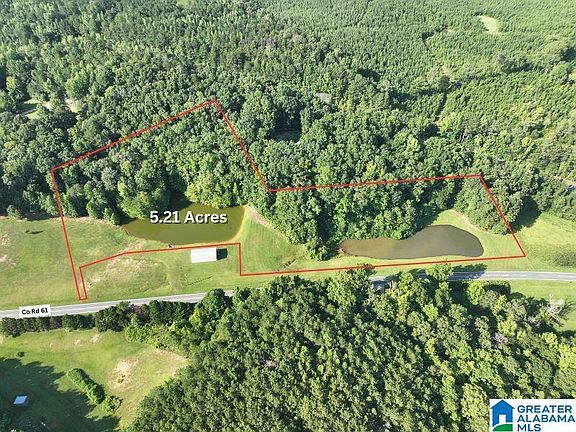 2nd image of 521ACRE S County Road 61