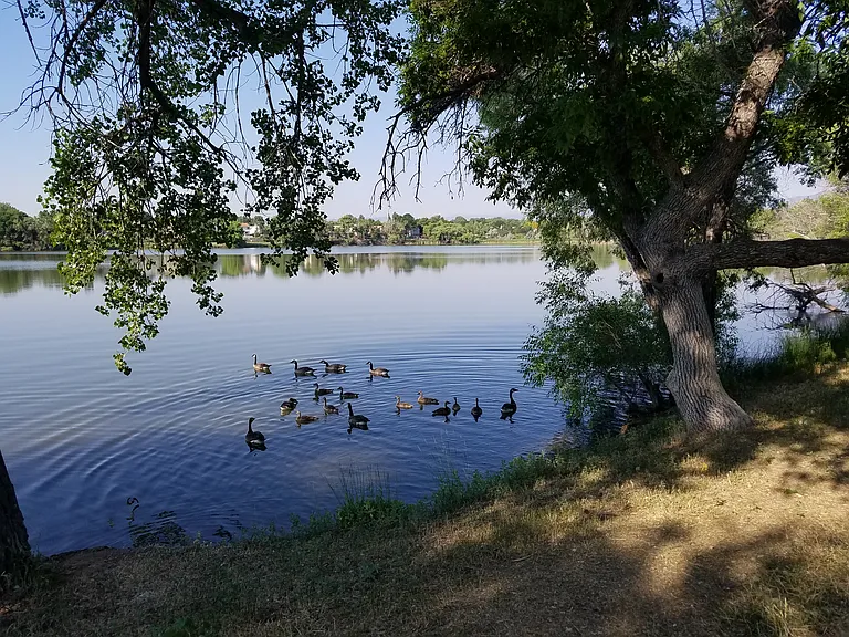 Pond on HOA grounds adjacent to walking paths