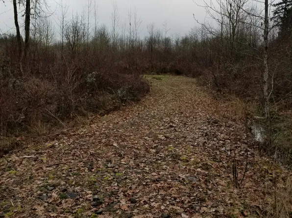 Henriot Rd, Toledo, WA 98591