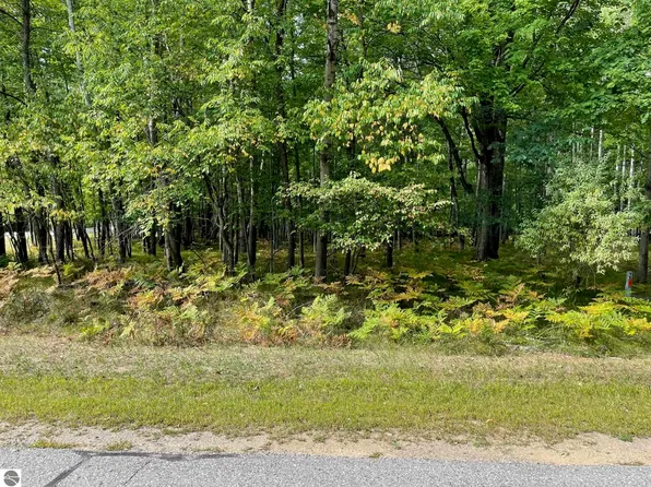 2001 Duquesa Ct #539, Weidman, MI 48893