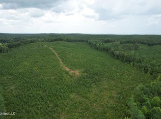 County Road 481, Paris, MS 38949