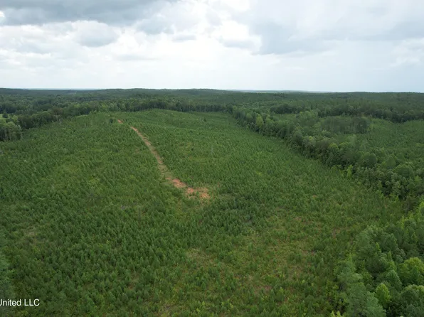 County Road 481, Paris, MS 38949