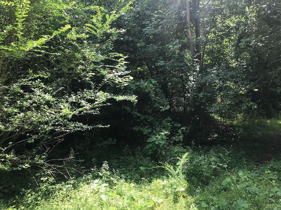 2nd image of 712 Peachers Dr