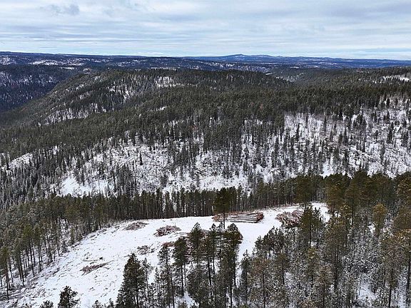 3rd image of LOT 193 Deer Mountain Rd