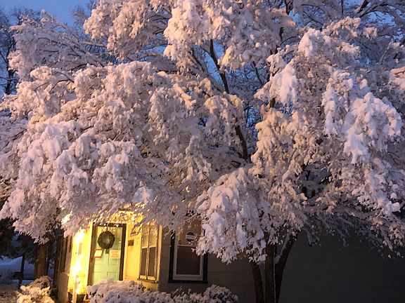 Rare snow picture