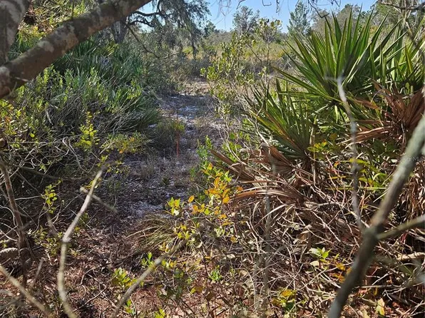 Sugarfoot Avenue Lot #222, Lake Wales, FL 33859