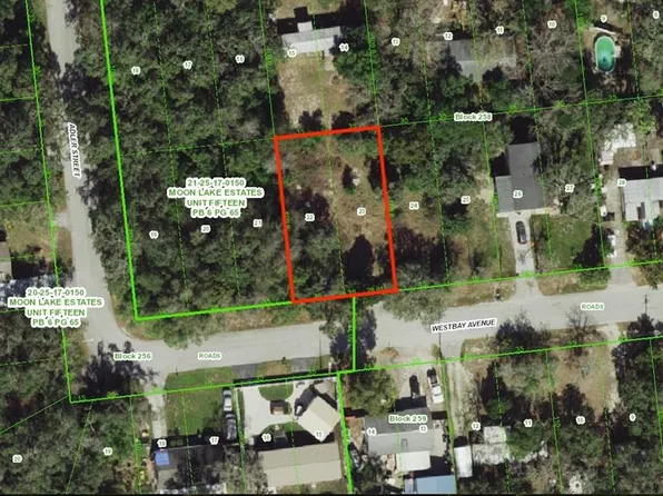 12015 Westbay Ave Lot 22, New Pt Richey, FL 34654