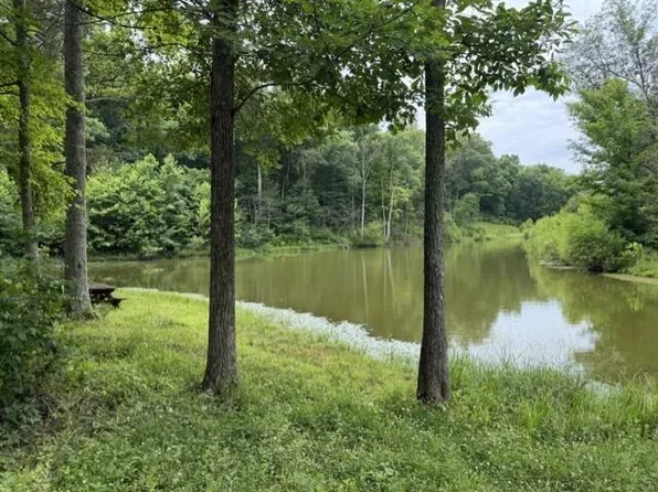 0 Pea Ridge Rd, Brooksville, KY 41004