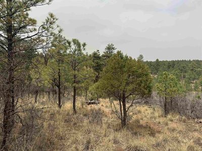 Cibola Dr, Timberon, NM, 88350