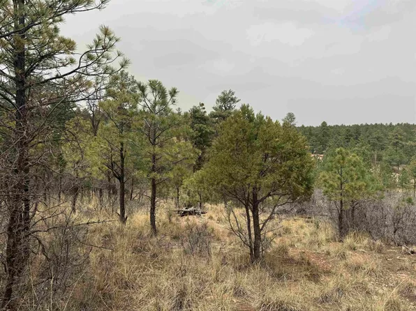Cibola Dr, Timberon, NM 88350