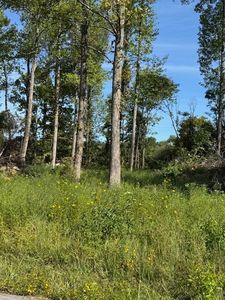 0 Days Rd, Lafayette, TN, 37083