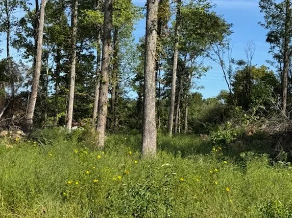 0 Days Rd, Lafayette, TN 37083