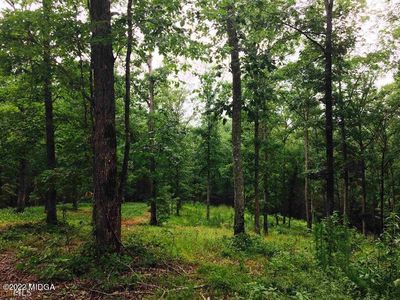 LOT 15 River Bend Rd, Macon, GA, 31211