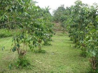 82-1017 E Kalamalani Pl LOT C-3, Captain Cook, HI 96704