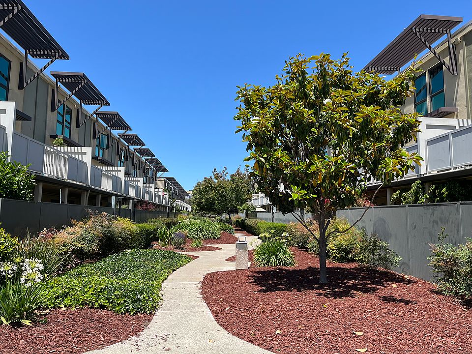 Community walking area