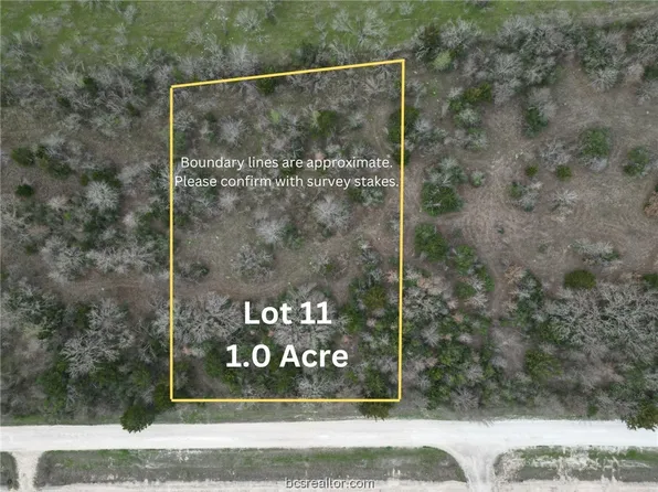 13031 County Road 164, Iola, TX 77861