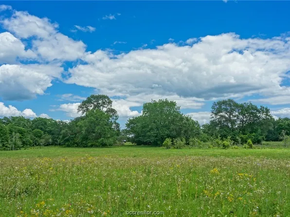 TRACT 6 County Road 117, Bedias, TX 77831