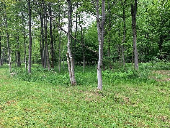 4th image of 5 Deer Pond Acres