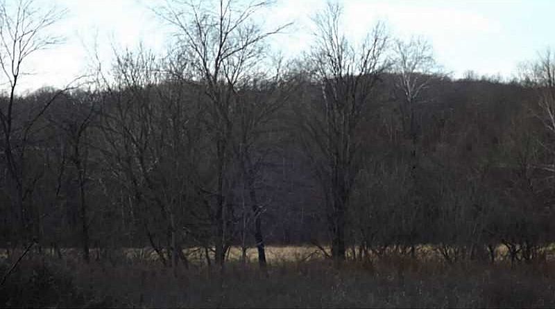 1st image of Rt51 Nr Vances Ml