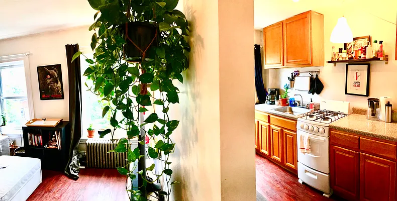 Rented by Boerum Hill Realty | media 54