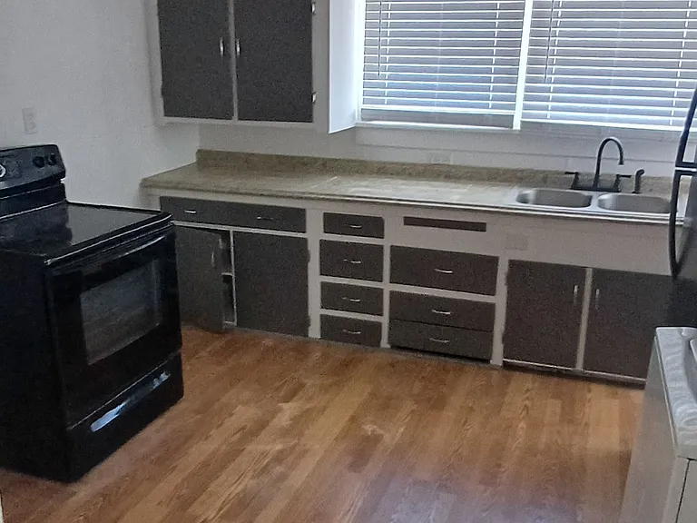 209 E Adams Ave — Photo 4