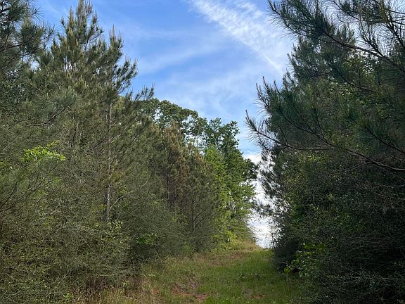 3rd image of County Road 230