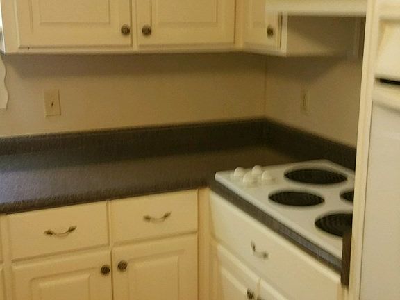 5th image of 1037 Goldfish Ln