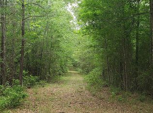 0 Mills Ln, Richards, TX 77873