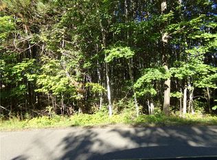 7581 S Marsik Rd LOT 1, Lake Nebagamon, WI 54849
