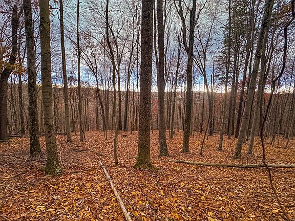 33rd image of this home