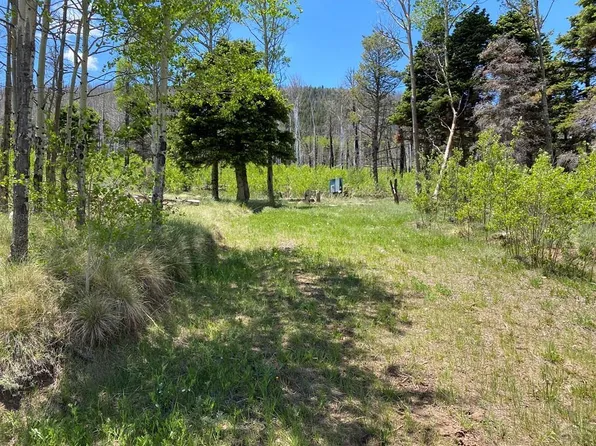 2043 Korlkoff Ln, Fort Garland, CO 81133