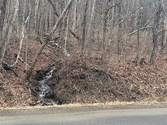 2nd image of 0 Crumtown Rd #48