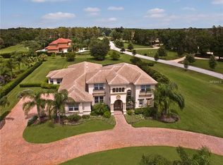 8501 Kentucky Derby Dr, Odessa, FL 33556