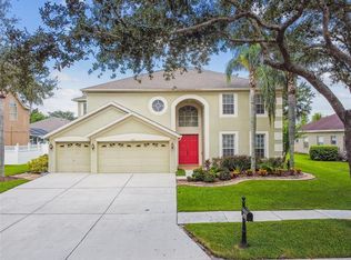 19107 Mandarin Grove Pl, Tampa, FL 33647