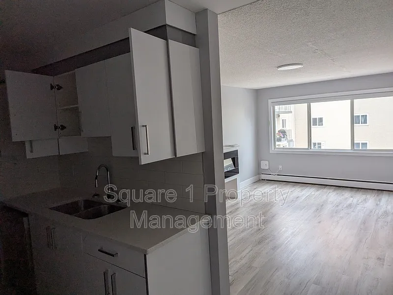 1 bed, 1.0 bath, $1,300 — Photo 3