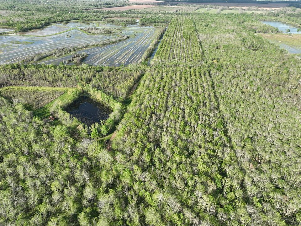 1st image of 0 Bayou Derbonne Rd