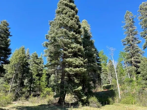 Spruce Trail Ticonderoga #5, Chama, NM 87520